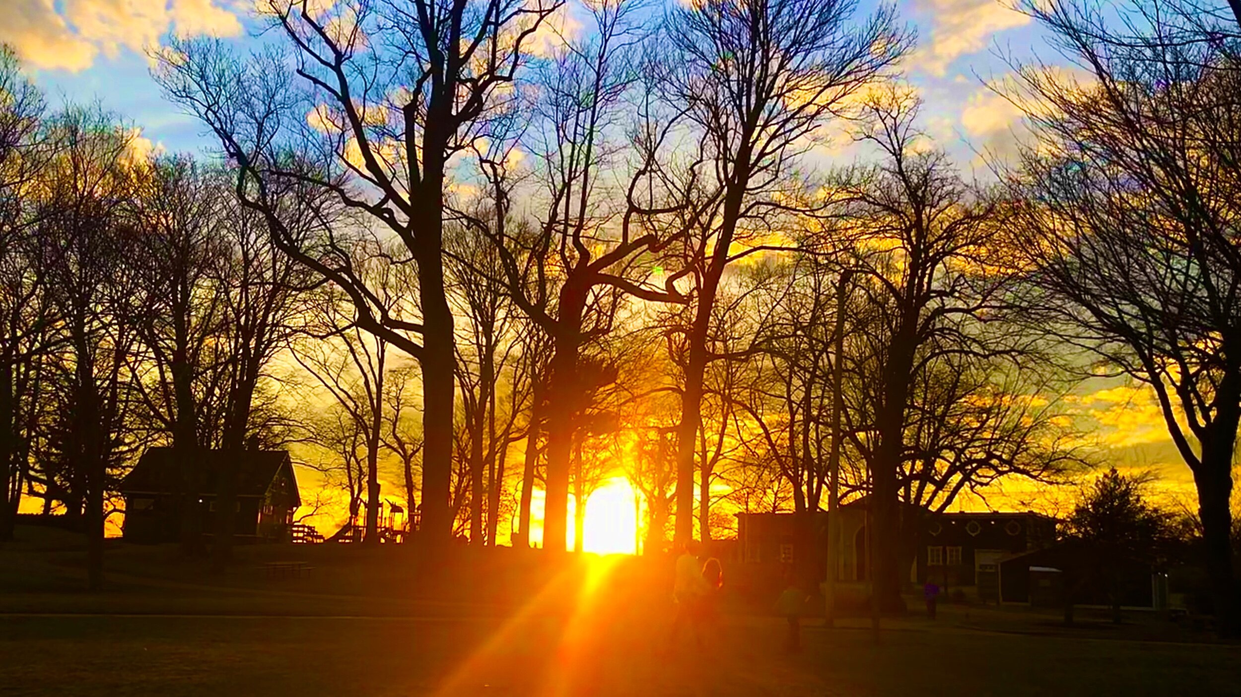 Rotating organization images